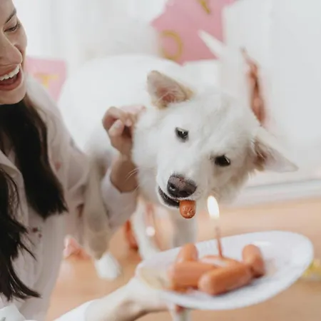 Peaceful Retreat With Pool & Sun Lounger